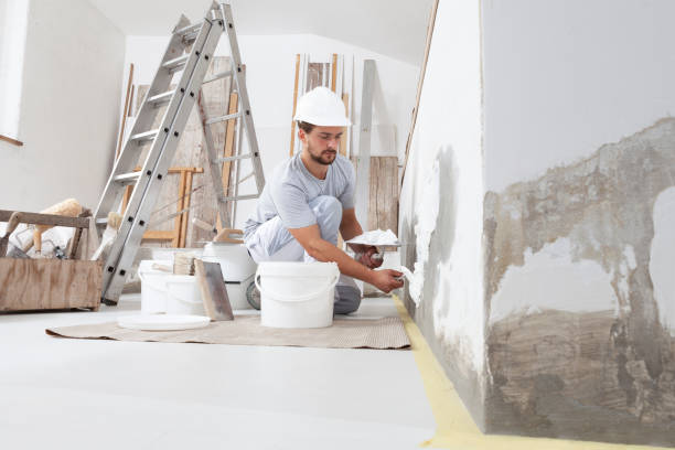 Best Crawl Space Mold Remediation  in Wray, CO