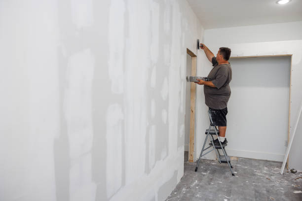 Best Commercial Mold Inspection  in Wray, CO
