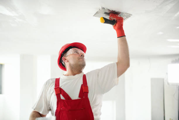 Mold Documentation for Insurance Claims in Wray, CO