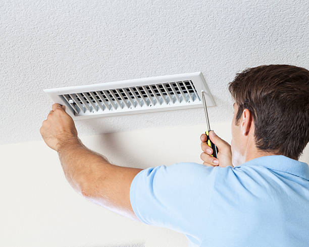 Best Forensic Mold Investigation  in Wray, CO