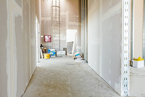 Best Comprehensive Air Testing for Mold Contaminants  in Wray, CO