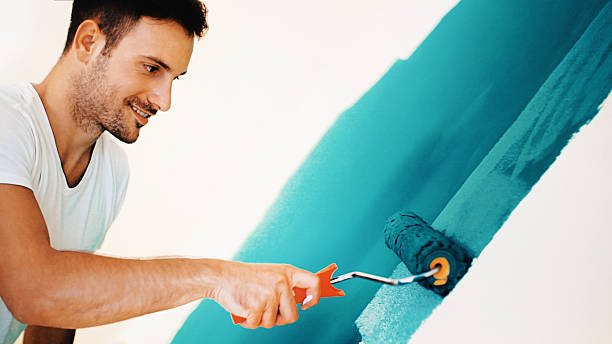 Best Post-Construction Mold Inspection  in Wray, CO