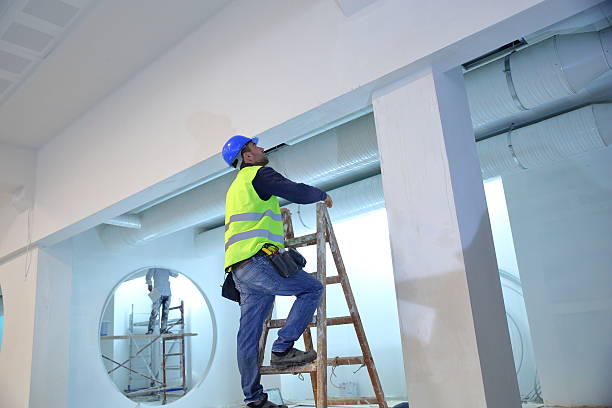 Best Mold Prevention Services  in Wray, CO