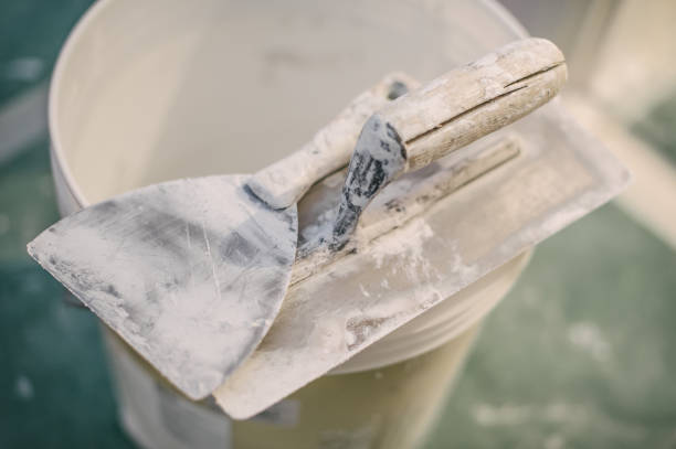 Best Attic Mold Removal  in Wray, CO