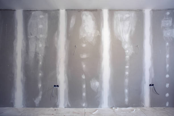 Best Asbestos and Lead Testing During Mold Inspection  in Wray, CO